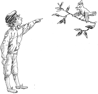 Юн и Софус иллюстрации