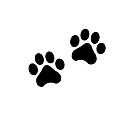Отпечаток лапы собаки и кота