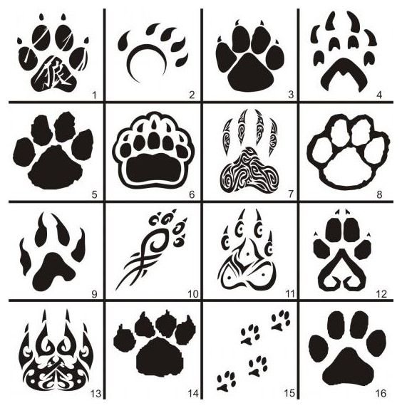 Отпечатки следов животных