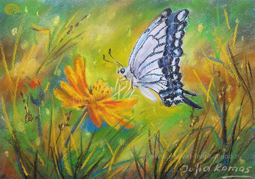 Рисунок к стихотворению на лугу. Бабочки живопись. Картина бабочки. Бабочка живопись гуашь. Бабочка пастелью.