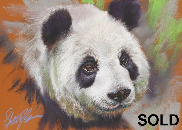 Панда пастелью