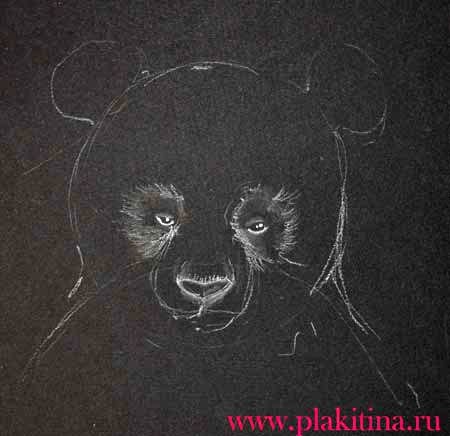 Рисунки мелом на черной бумаге
