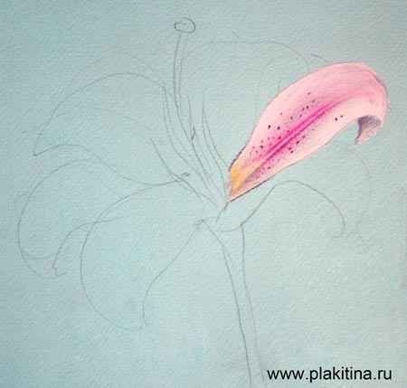 Рисунки пастелью легкие цветы