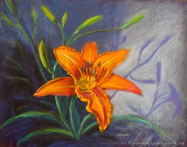 Лилия пастелью сухой