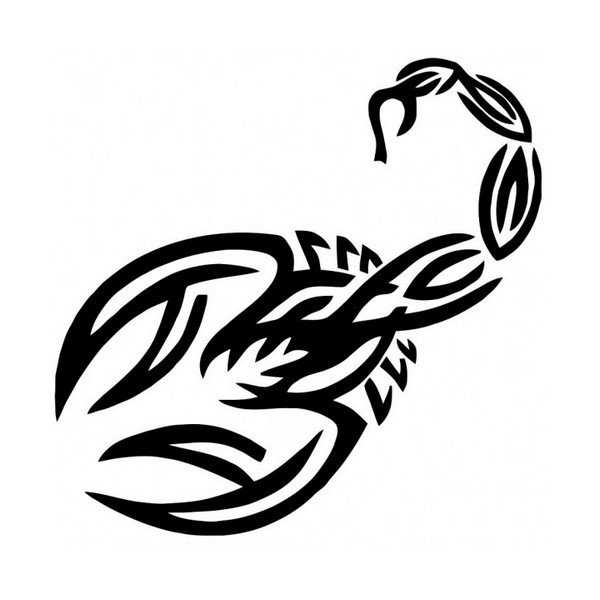 Кельтский узор Скорпион