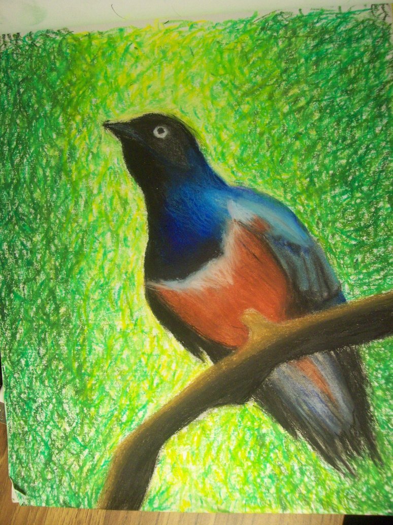 Рисование масляной пастелью птиц для детей