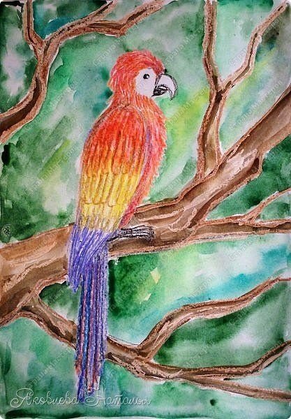 Рисование восковыми мелками птиц