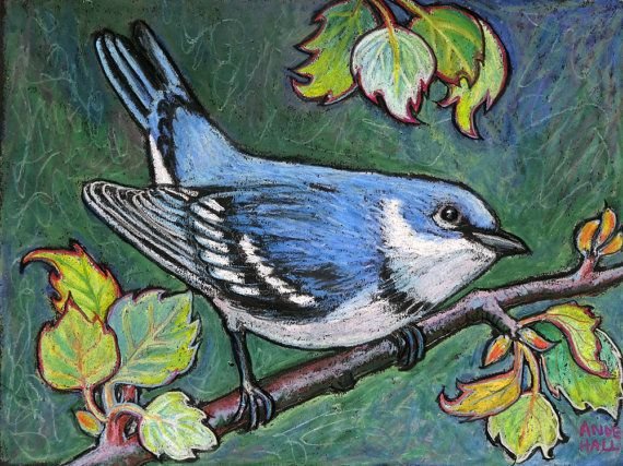 Картинки с птицами для рисования мелками