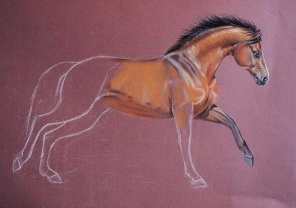 Лошадь пастелью сухой