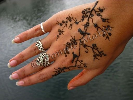 Птица хной на руке