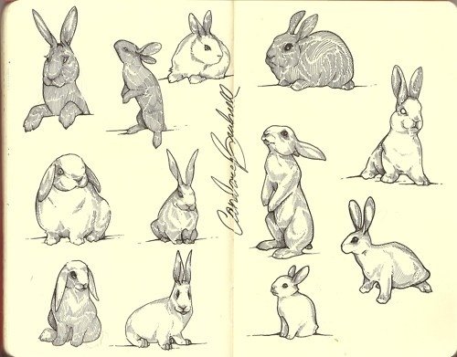 Скетчи маркерами животные