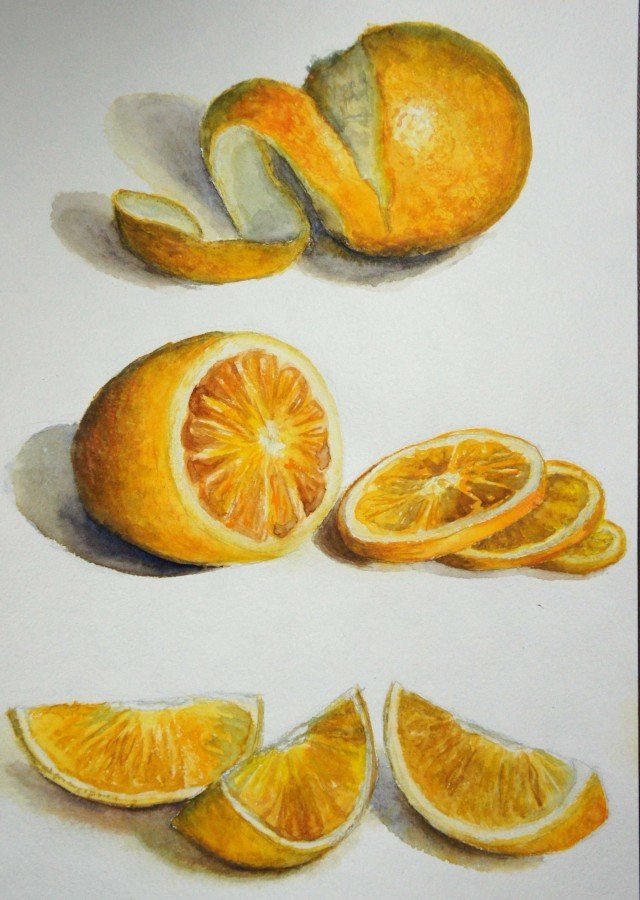 Апельсин в разрезе рисунок
