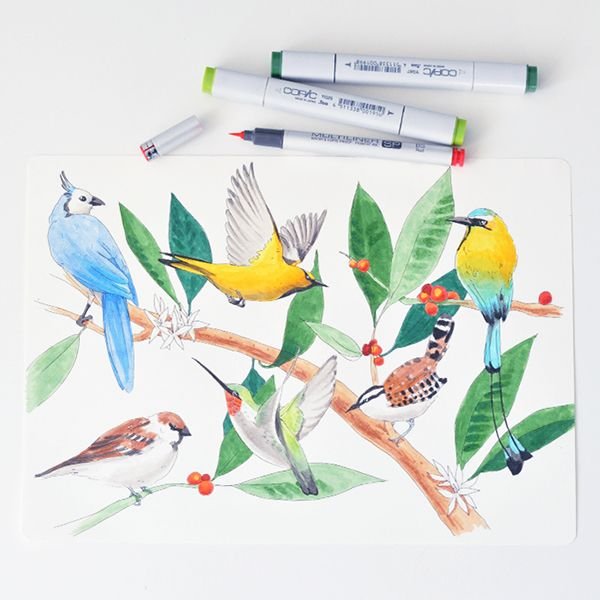 Птица маркерами