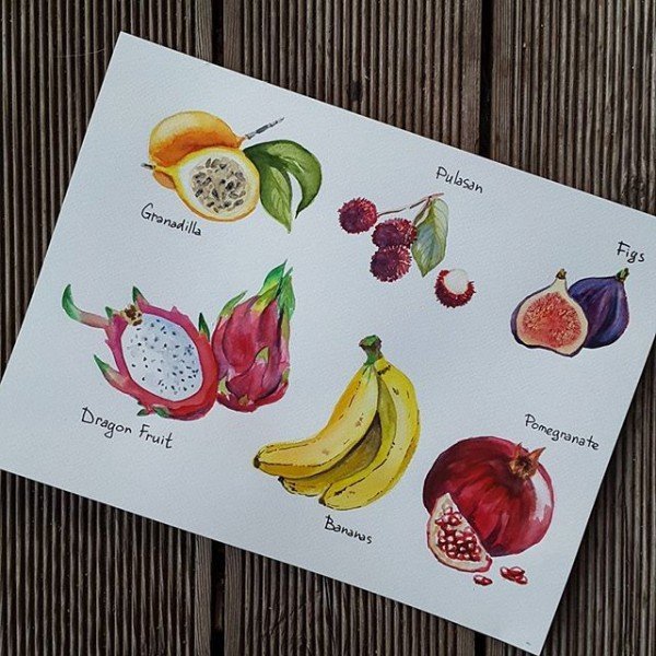 Скетчинг фрукты