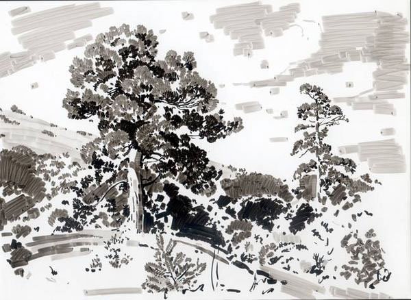 Дерево черным фломастером