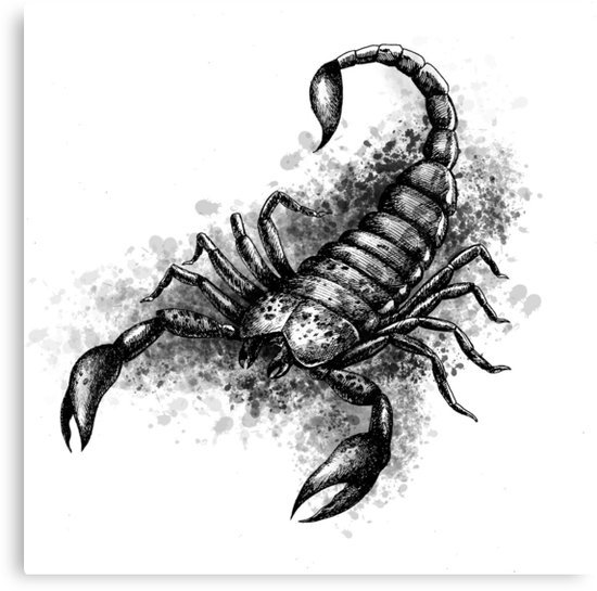Тату Скорпион карандашом