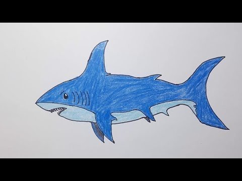 Рисунки маркерами акула