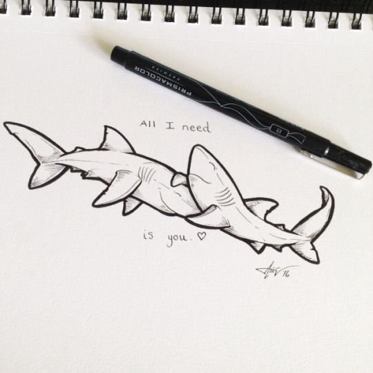 Милые акулы для срисовки