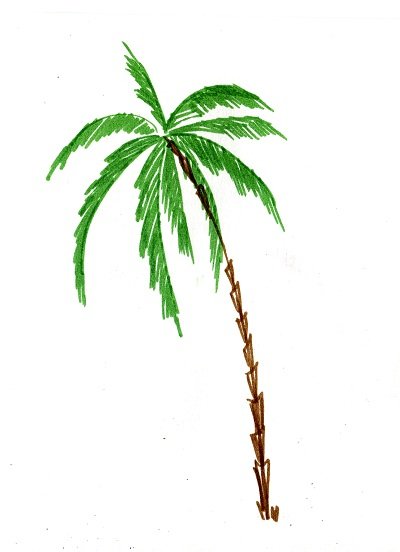Пальма фломастером