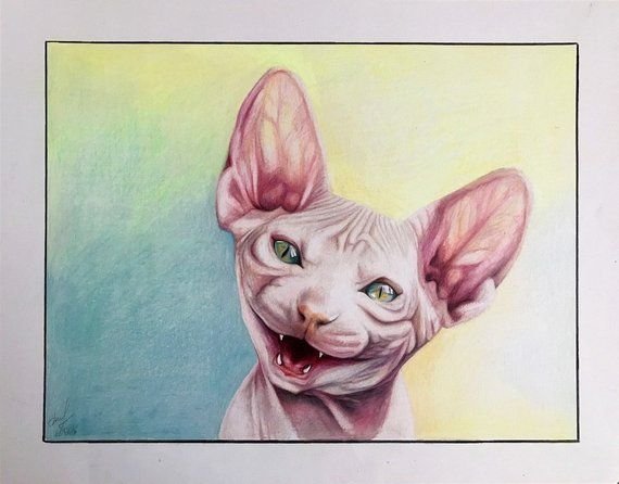 Сфинкс цветными карандашами