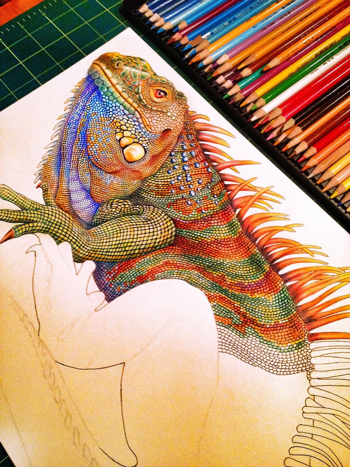 Игуана цветными карандашами