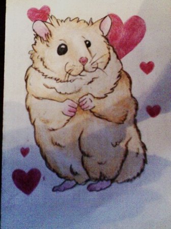 Хомячок фломастерами