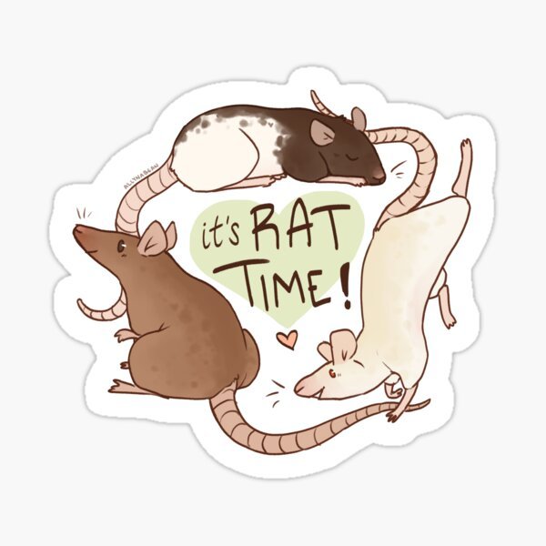 Рисунок крысы маркерами