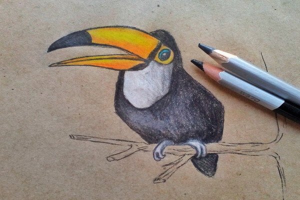 Тукан простым карандашом