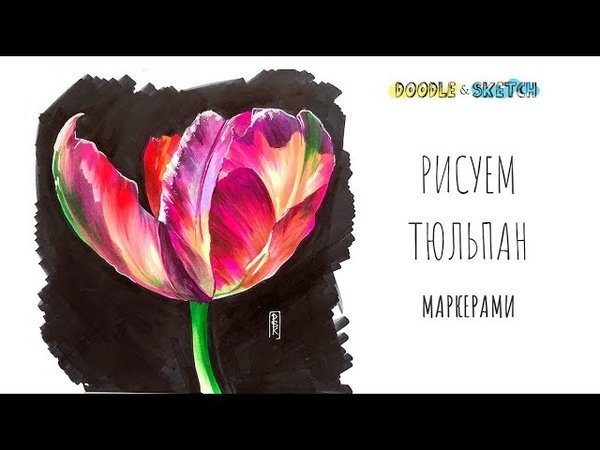 Тюльпаны маркерами