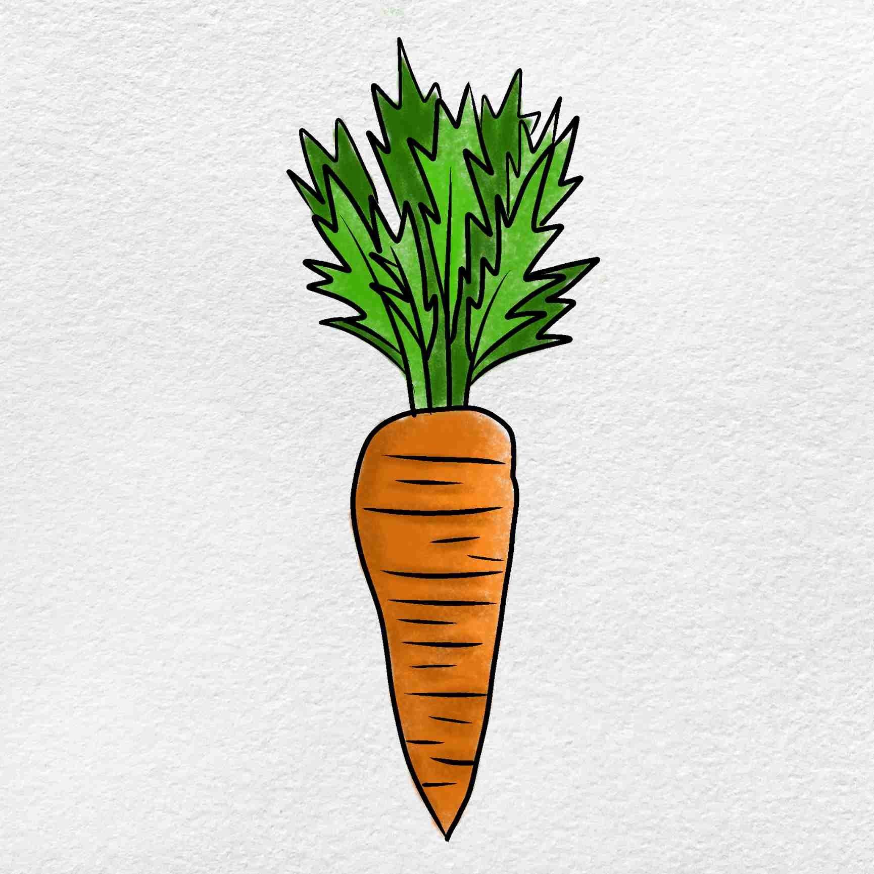 Самые примитивные нарисованные морковки