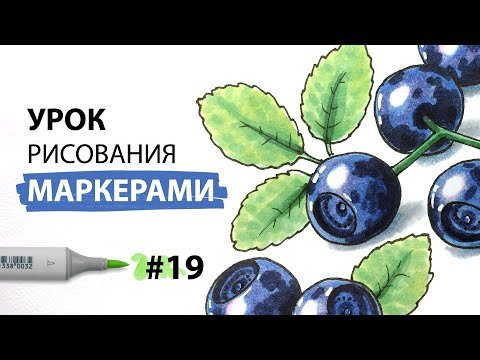 Черная смородина акварель
