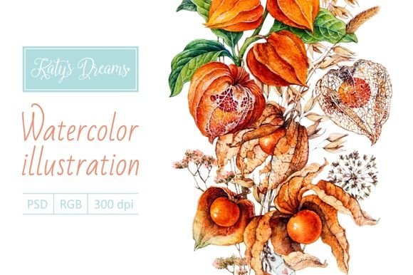 Физалис акварелью мастер класс