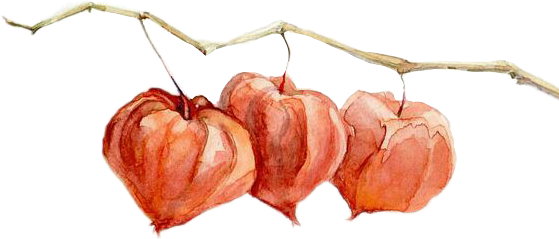 Дина Калинкина натюрморт