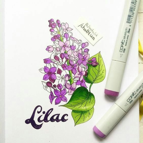 Маркеры для скетчинг