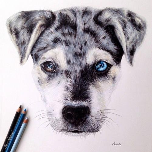 Азбука рисования щенок
