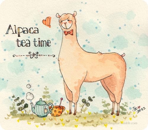 Альпака скетчбук