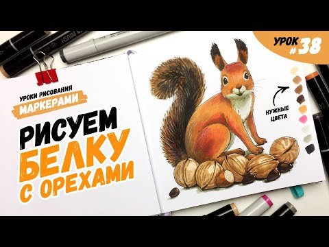 Белка маркерами