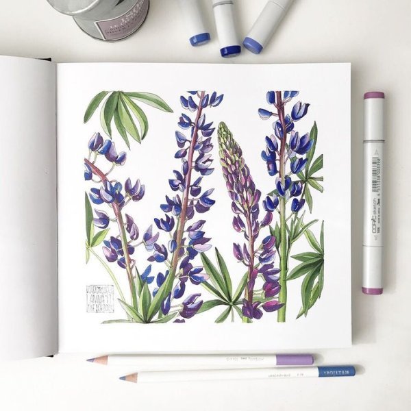 Скетчинг маркерами Touch