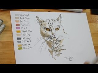 Рисунок кота маркерами для скетчинга
