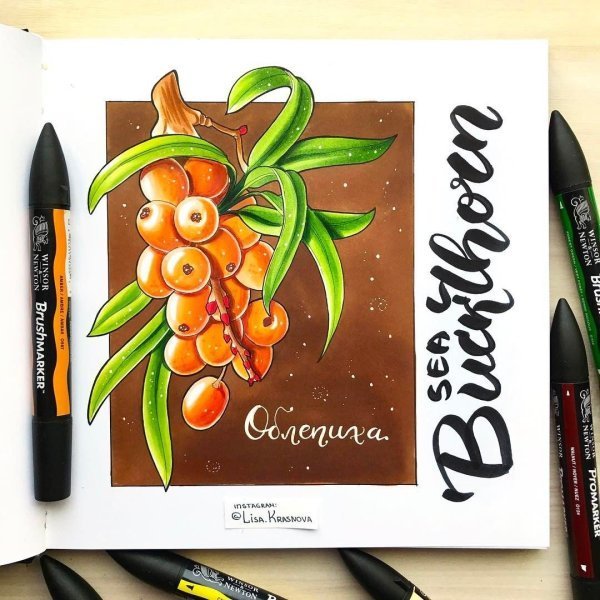 Тропические листья маркерами