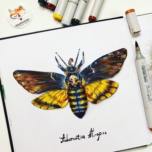 Бабочка скетч маркерами