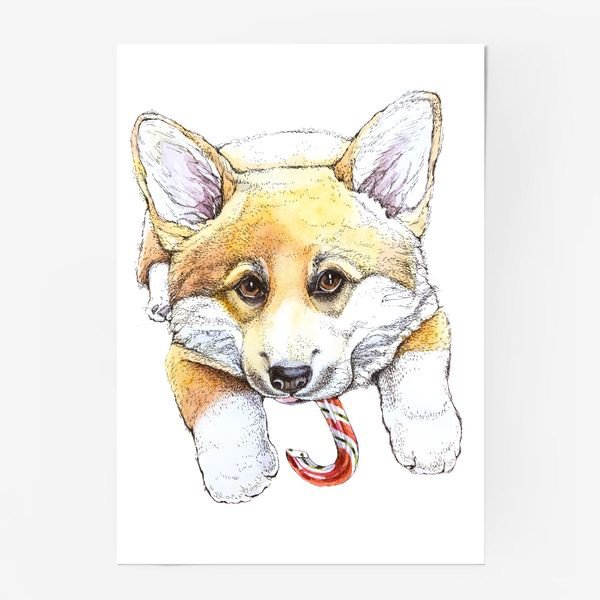 Постер корги