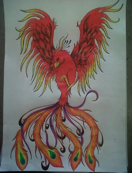 Феникс цветными карандашами