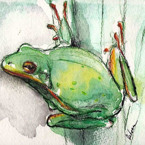 Скетчи лягушек милые