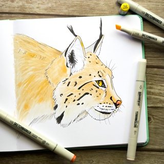 Животные линером