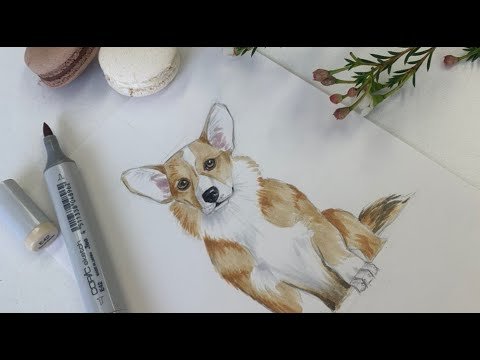 Животные маркерами