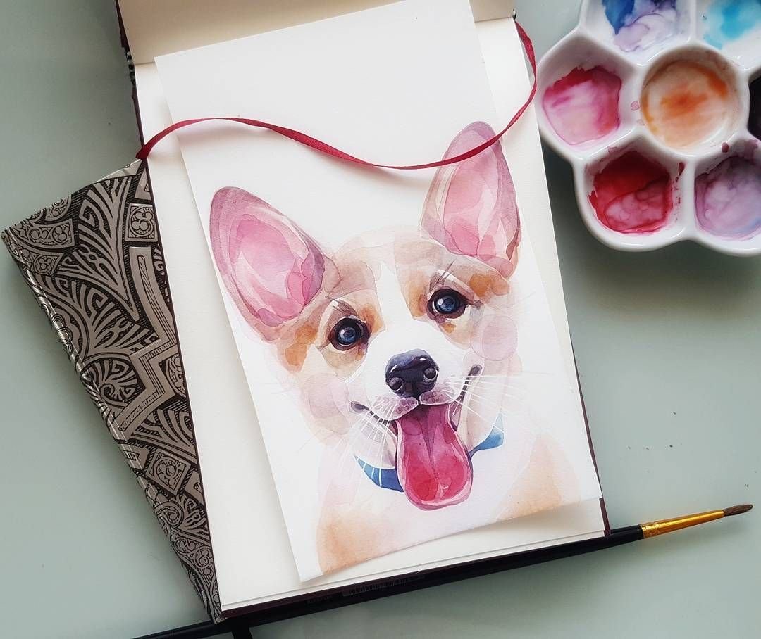 Собаки маркерами. Скетчбук с собакой. Скетчбук для рисования с корги. Собака для скетчбука. Корги скетч.