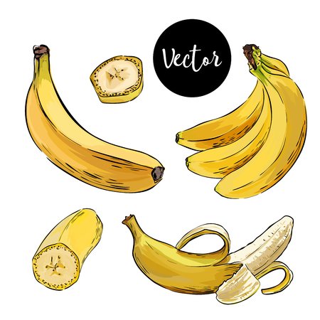 Скетчинг фруктов