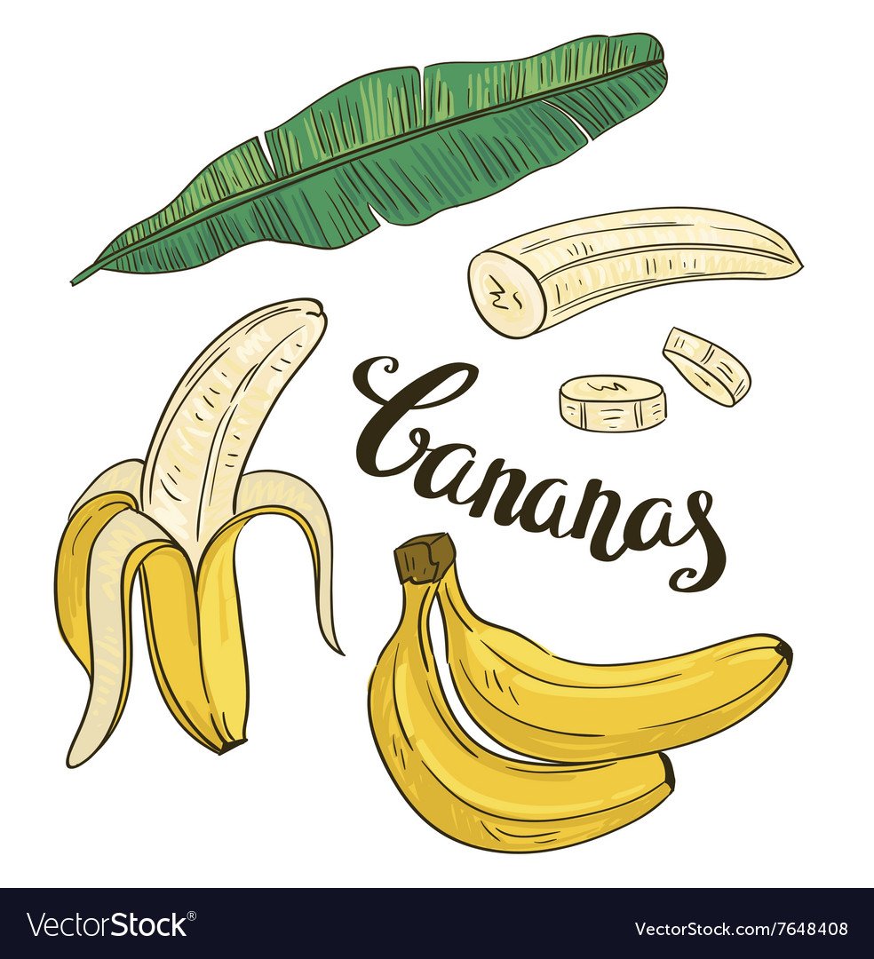 Фрукты скетчбук банан