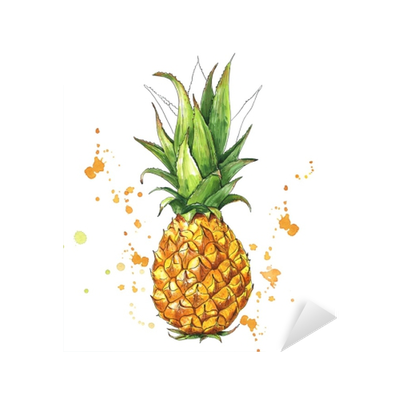 Ананас рисунок скетч